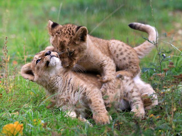 Ratusz Głównego Miasta