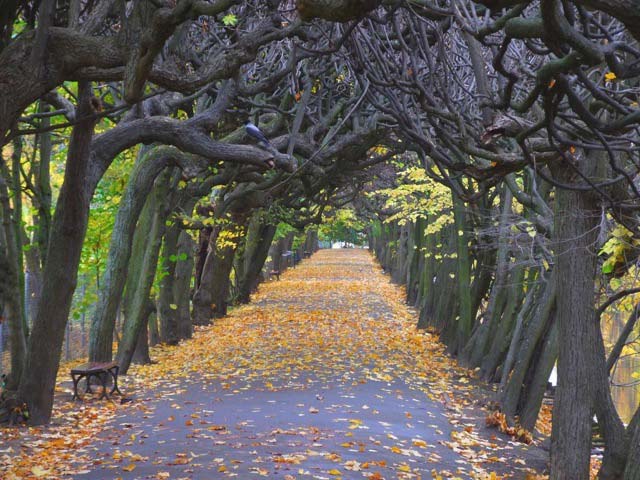 Ratusz Głównego Miasta