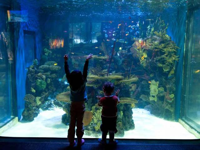 Ratusz Głównego Miasta